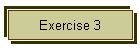 Exercise 3