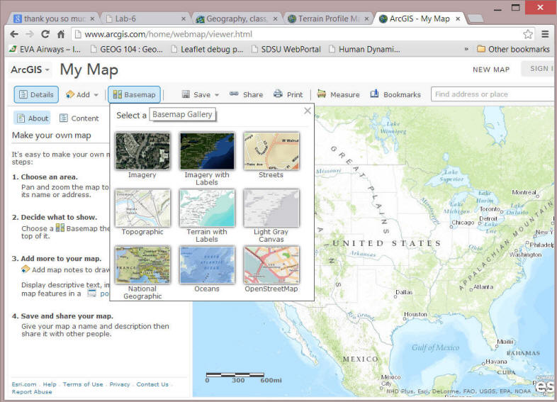ArcGIS online basemap