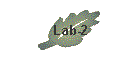 Lab-2