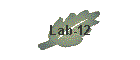 Lab-12