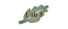 Lab-1