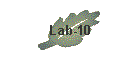 Lab-10