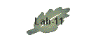 Lab-11