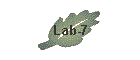 Lab-7