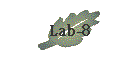 Lab-8