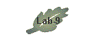 Lab-9