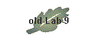 old-Lab-9