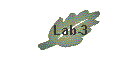 Lab-3