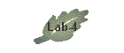 Lab-4