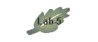 Lab-5