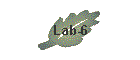 Lab-6