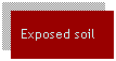 Text Box: Exposed soil
