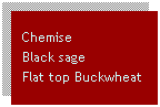 Text Box: Chemise
Black sage
Flat top Buckwheat

