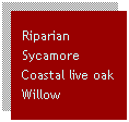 Text Box: Riparian
Sycamore
Coastal live oak
Willow

